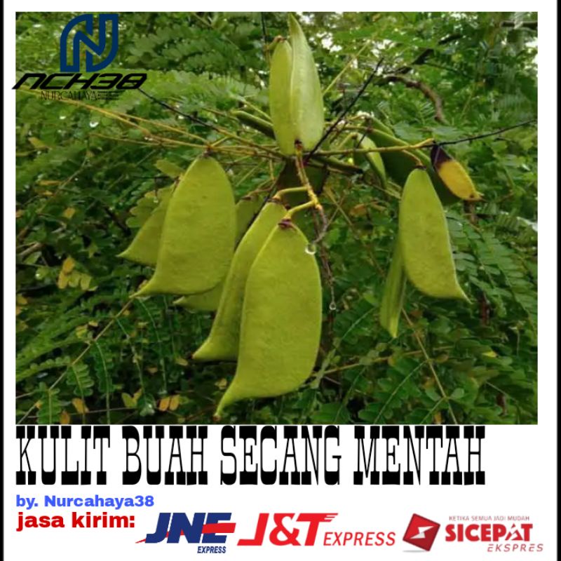 

KULIT BUAH SECANG MENTAH 250G