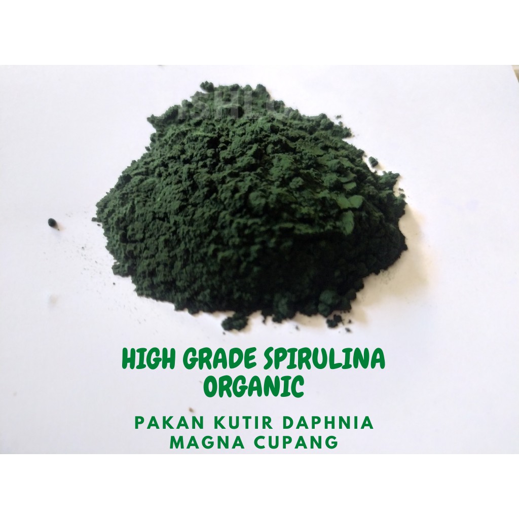 POLAR GREEN SPIRULINA POWDER PLATENSIS / PAKAN KUTIR DAPHNIA MAGNA CUPANG/ SPIRULINA ORGANIK