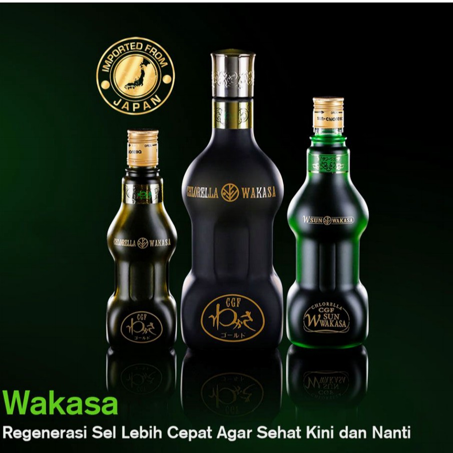 CNI Wakasa Gold Mini