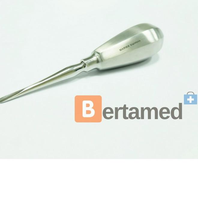 Ω Bein Root Elevator Straight 1 mm 2 mm 3 mm / Bein Dental Gigi ▼