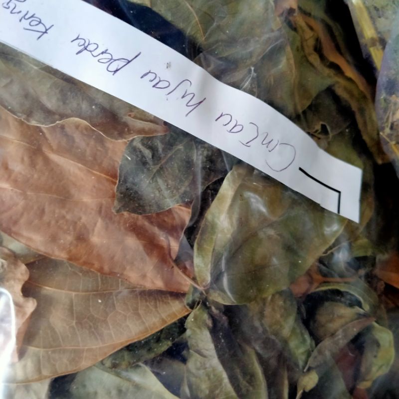 

Daun Cincau Hijau Kering