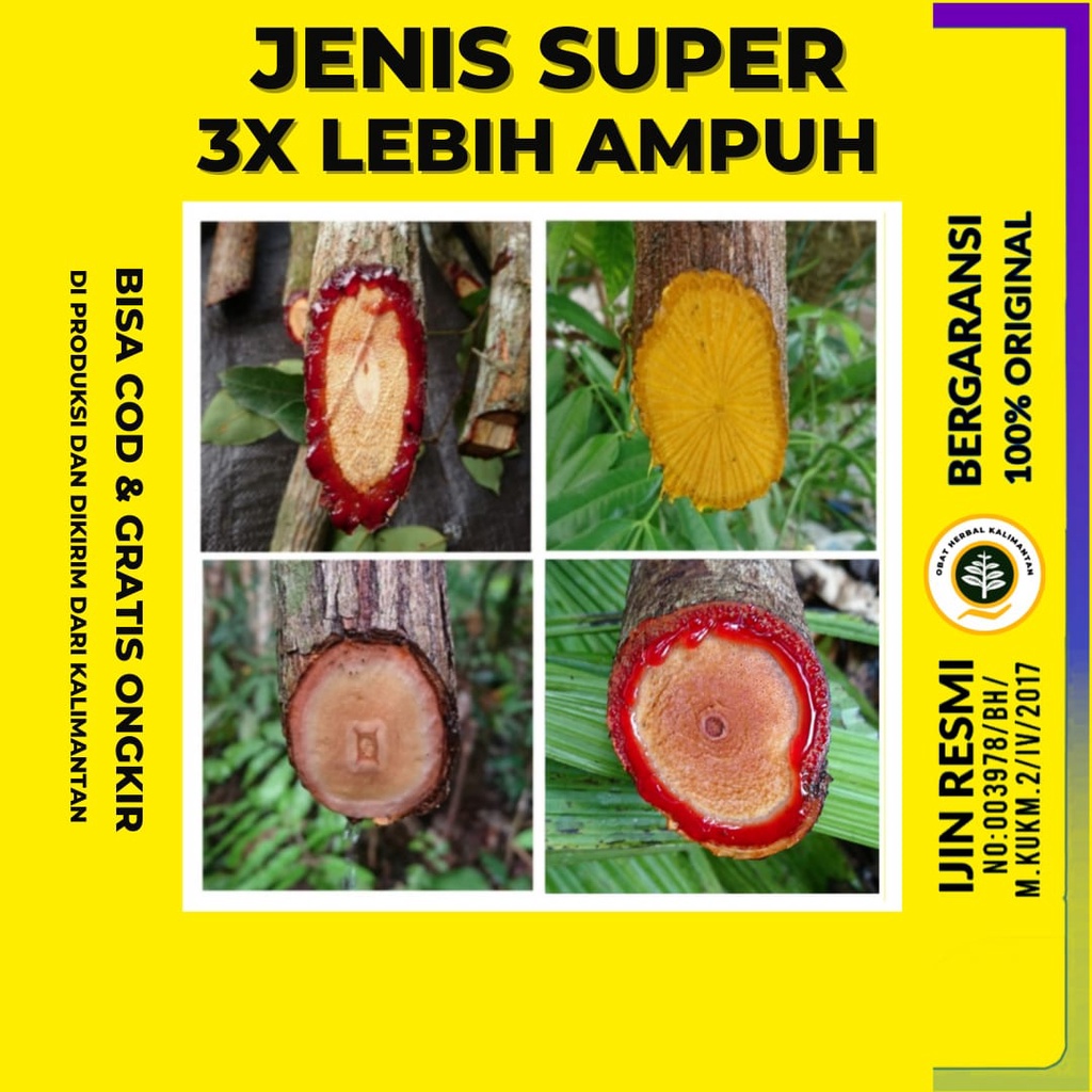 Akar Bajakah Asli Kalimantan Kayu Bajakah Asli Kalimantan Sertifikat Teh Celup Akar kayu Bajakah Kayu Bajaka Madu Bajakah Tampala Super Kalalawit Merah Akar Kuning Bajakah Kalimantan Asli Kalimantan Bajakan Sertifikat Original Ori Premium Dayak Borneo Cod