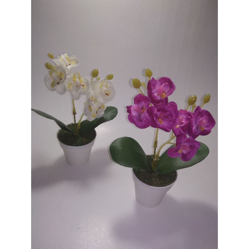 Bunga anggrek mini/bunga anggrek/bunga plastik/bunga palsu/tanaman artifisial/tanaman palsu/kembang