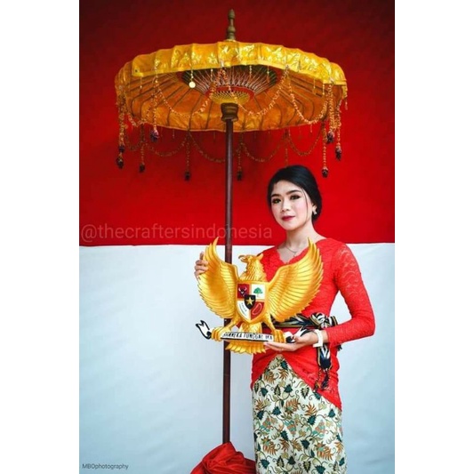 lambang garuda fiber