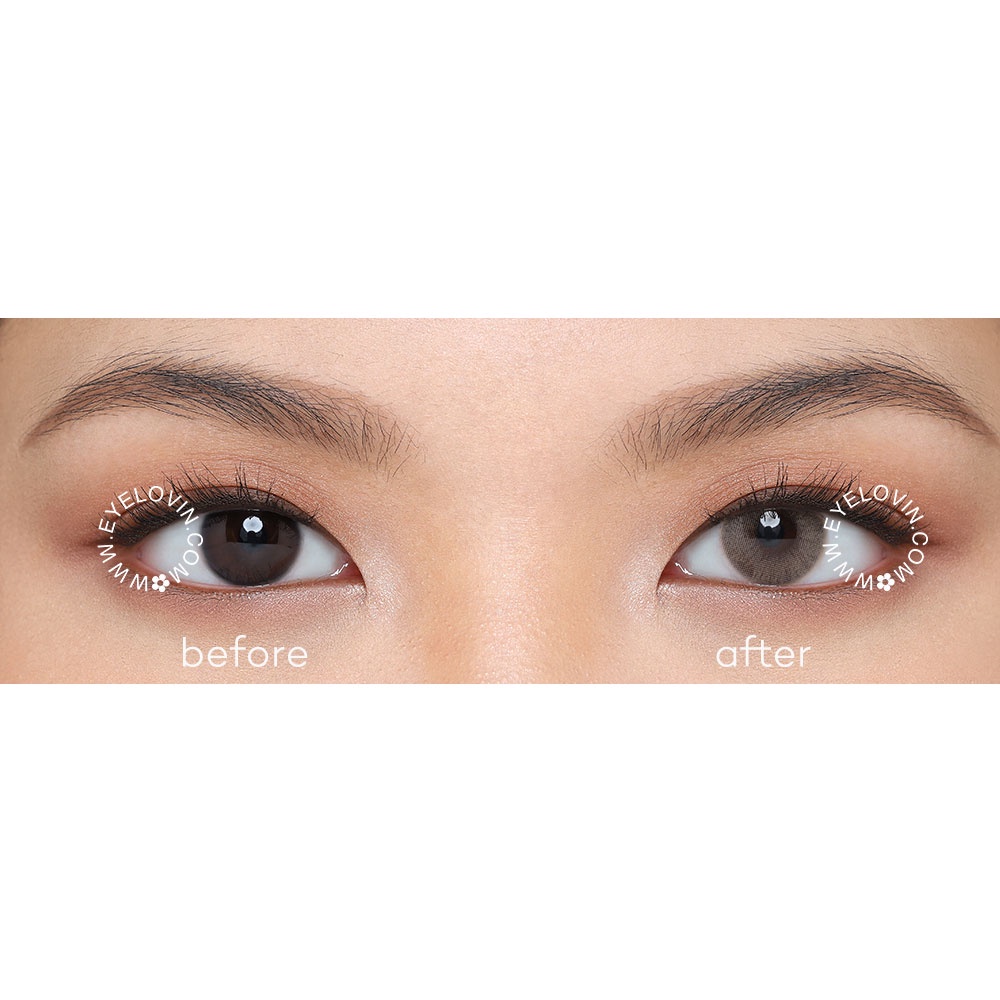 Eyelovin Softlens Mite Clair Pure Moist - Hera Brown