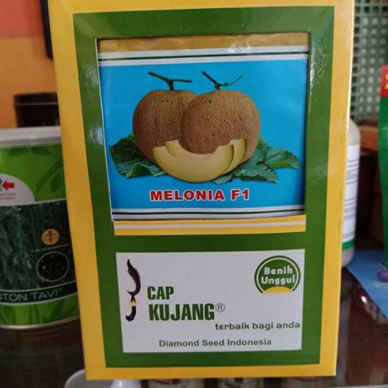 benih melon melonia 20gr cap kujang
