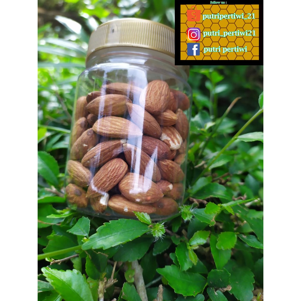 

Roasted Almond / Almon Panggang Cemilan Sehat no msg / ASI Booster