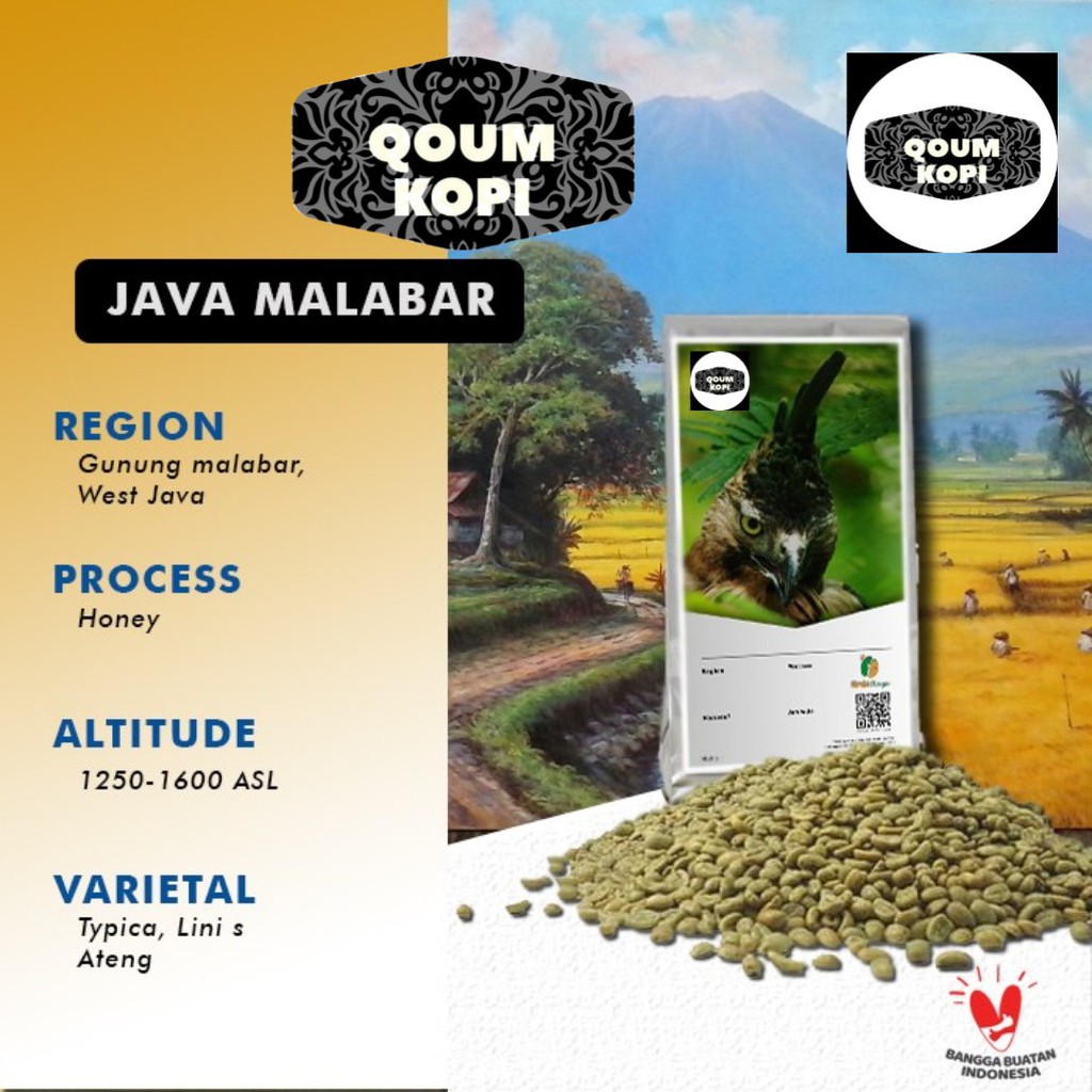 

Arabica Greenbean Java Malabar Hooney process