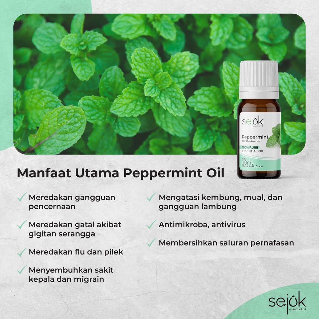 Sejuk Peppermint Essential Oil / Minyak Aromaterapi Pure 100% - 10 ml