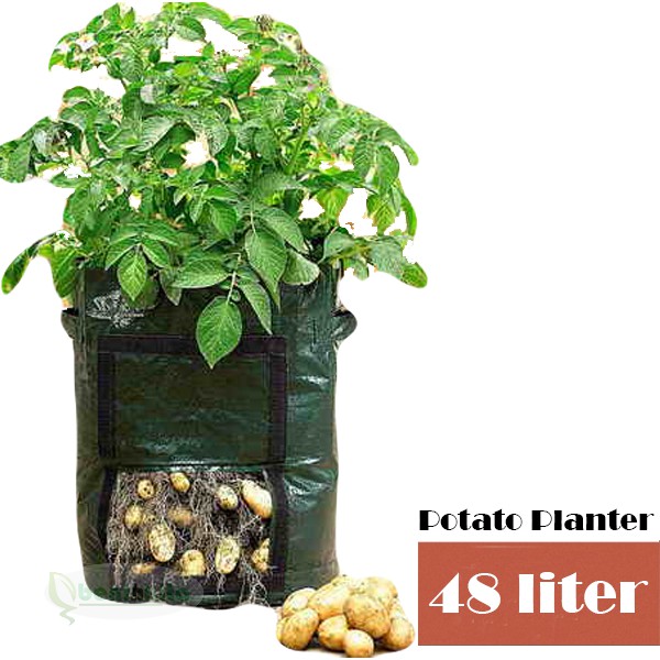 Umbi Planter Ukuran 48 Liter