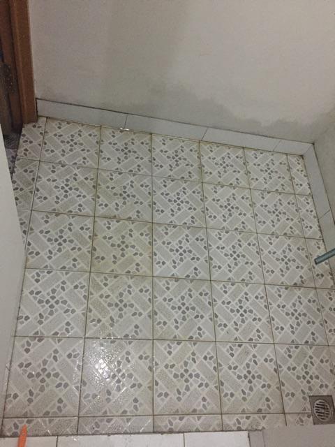 [bisa Cod] Topron Pembersih Toilet (kota Solo)