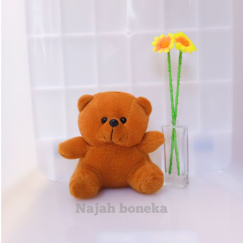 Bayar COD dirumah Boneka Bear Beruang Murah untuk wisuda/souvenir/bucket