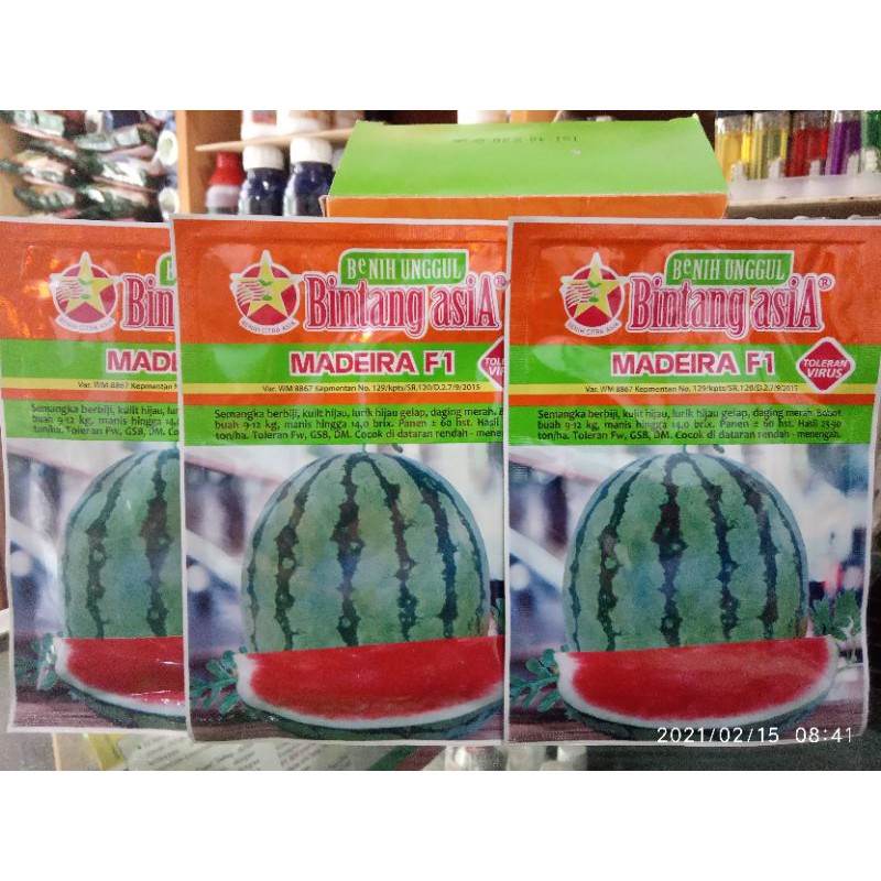 benih semangka made ira F1