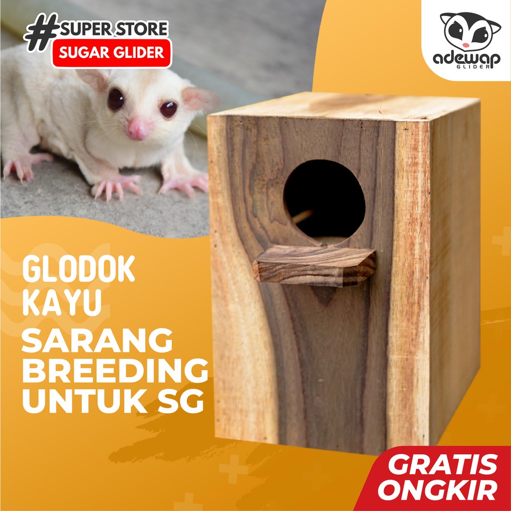 ADEWAP GLIDER Glodok Kayu Tempat Sembunyi Sugar Glider