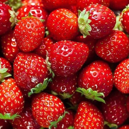 

Buah Strawberi Organik Strawberry Fruit Fresh 250gr