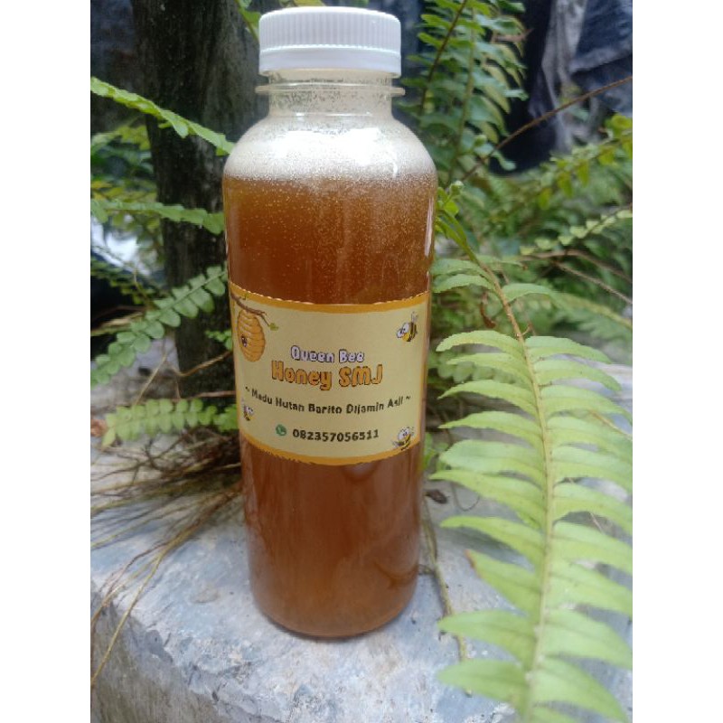 

MADU HUTAN KALIMANTAN