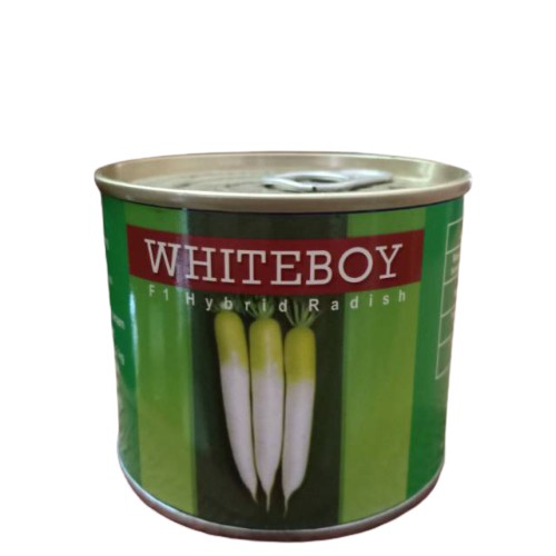 Bibit Lobak Putih Whiteboy 100 gr / Benih Lobak Putih.