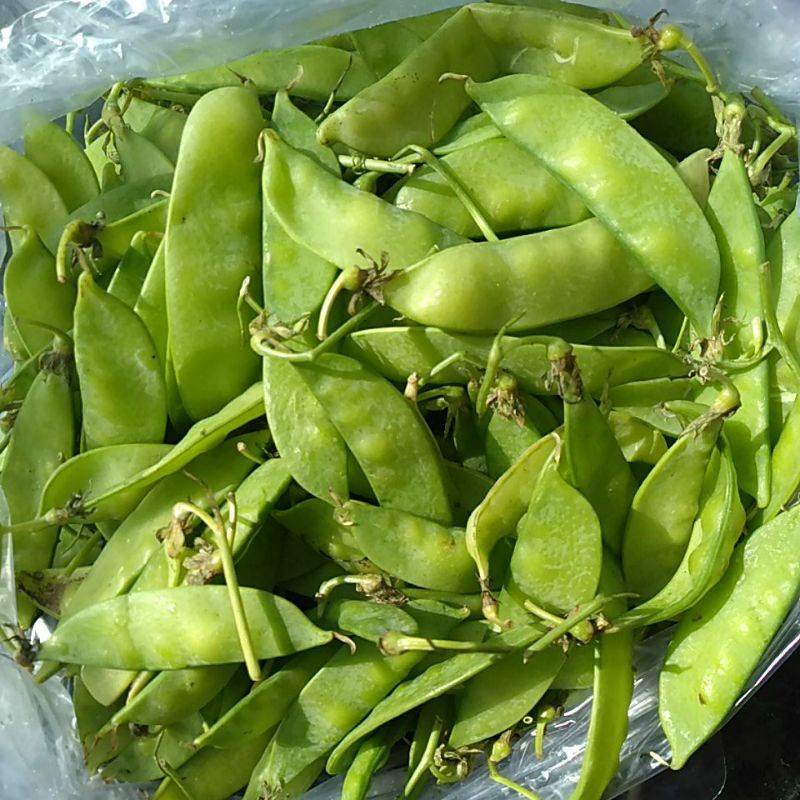 

Kacang Kapri segar 250gram