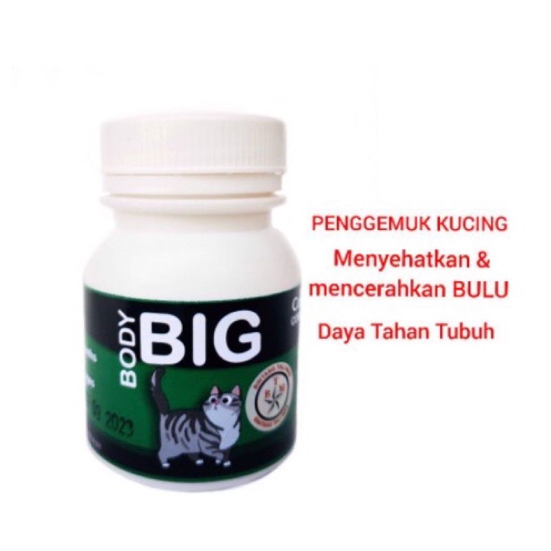 Body Big Vitamin Penggemuk Kucing