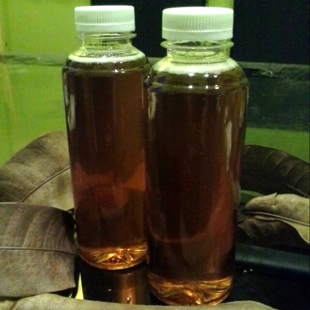 

Madu lebah liar hutan suku Baduy botol 250 ml.