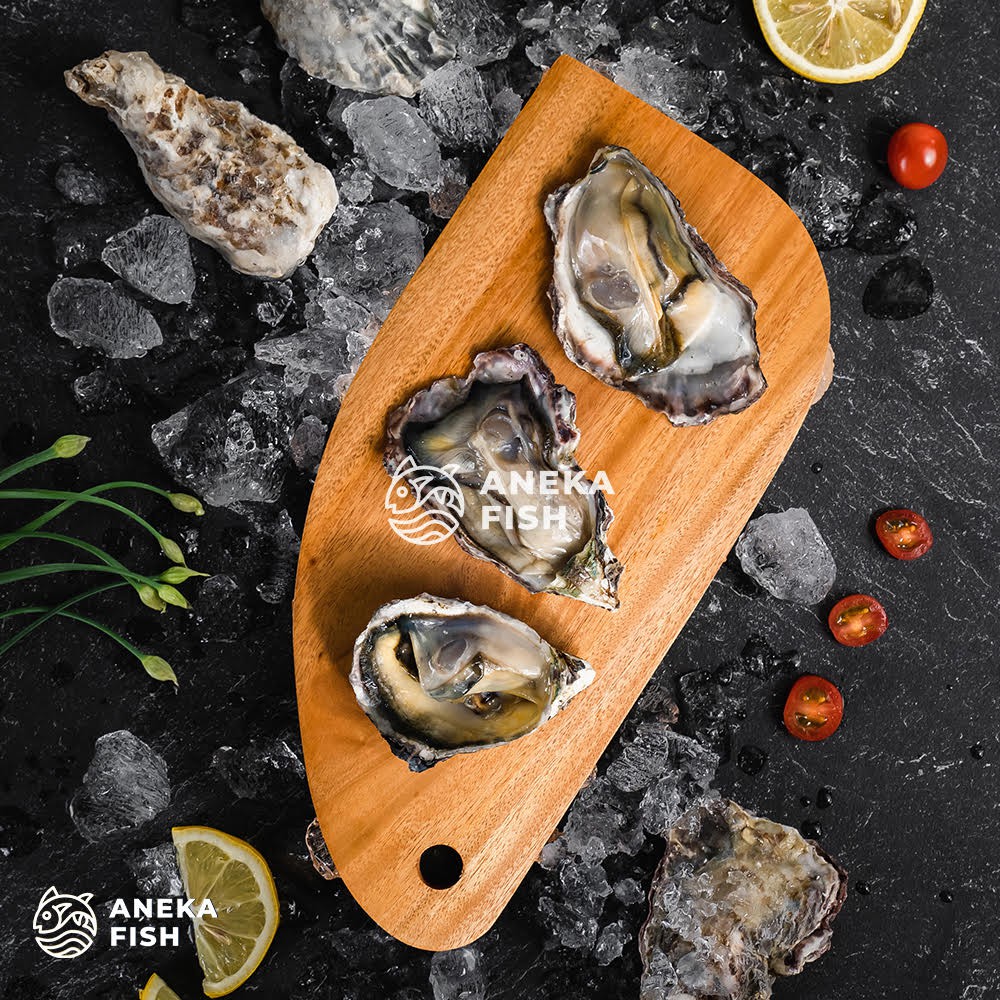 

FROZEN JAPANESE OYSTER - 12 PCS