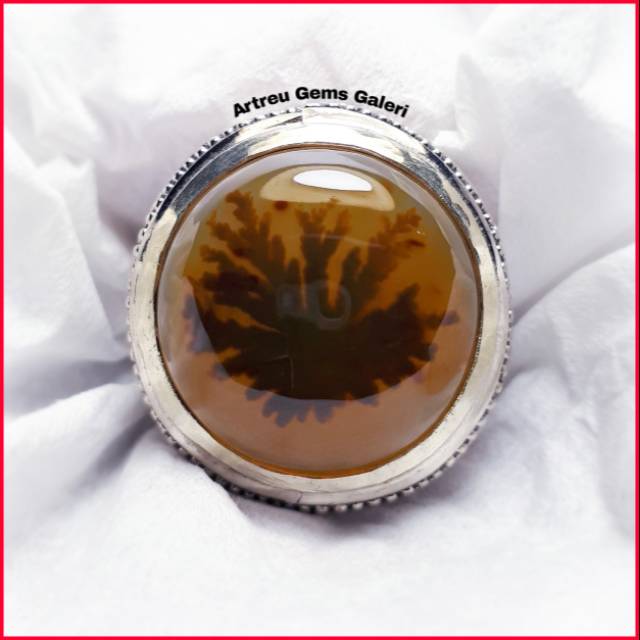 Batu Akik Dendrite Agate Motif. Batu gambar batu pandan batu anggur biru langit batu zamrud