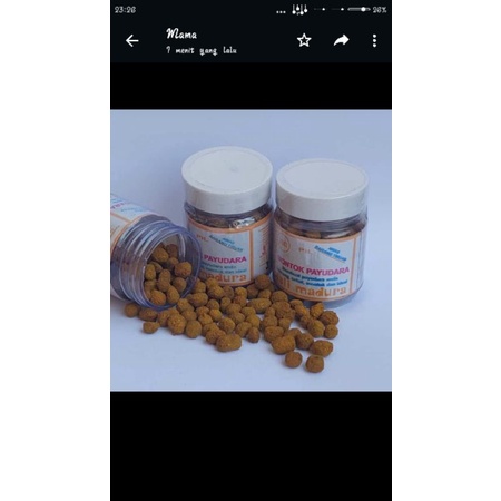 jamu montok payudara