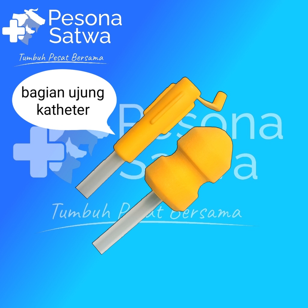 Kateter Babi Foam - Catheter pig