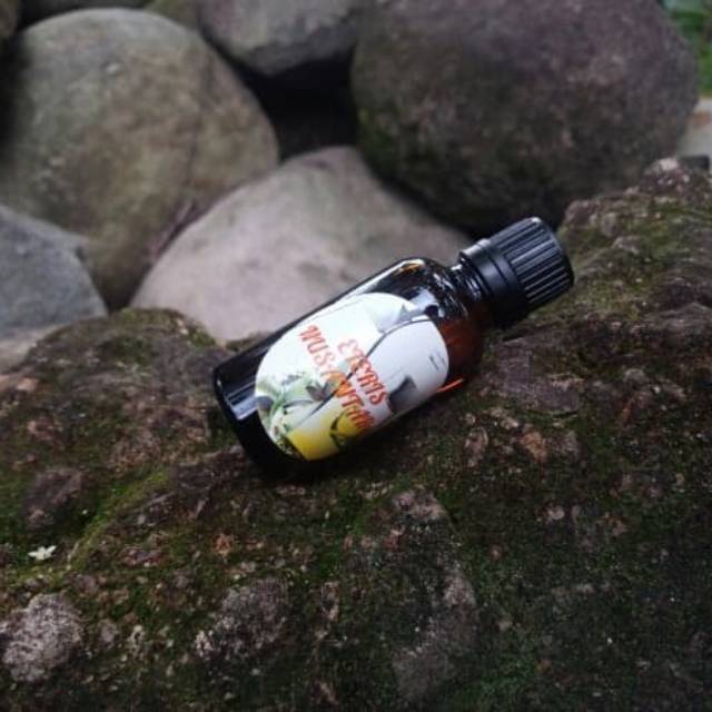 Penghemat BBM bio aditif base minyak atsiri