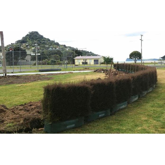 Hedge Planter Bag (Large)