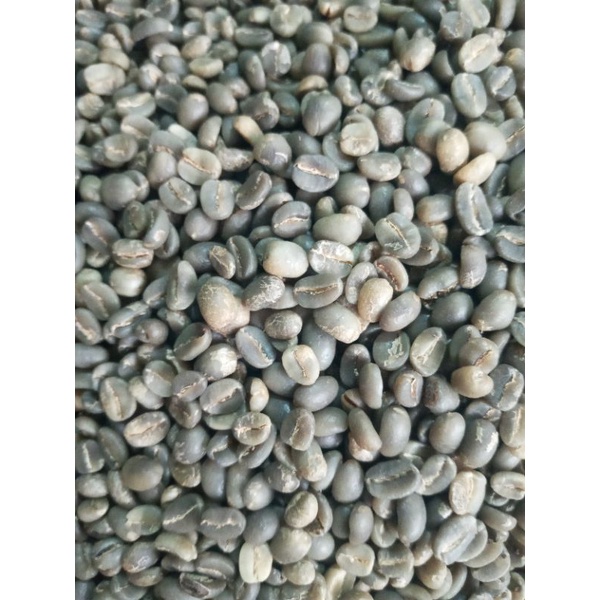 

biji kopi arabica