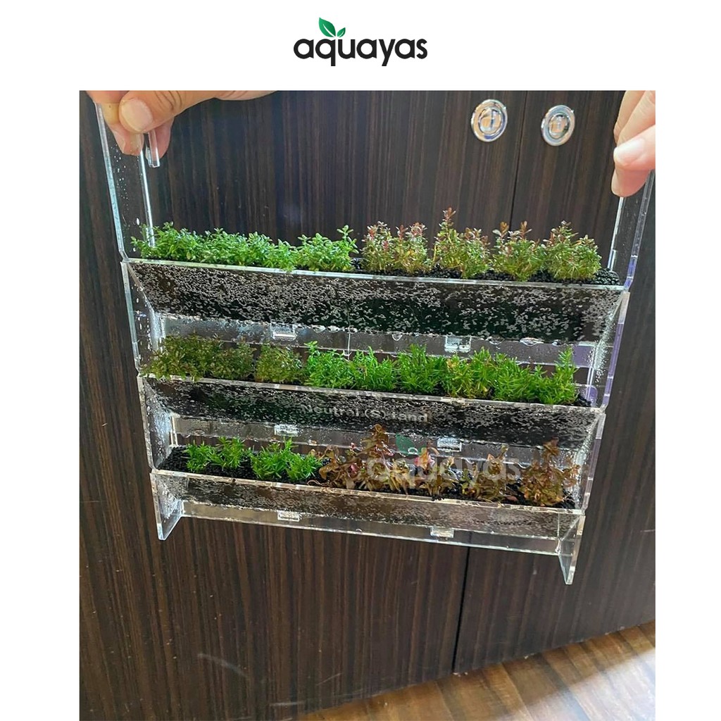 vertical pot aquascape aquarium