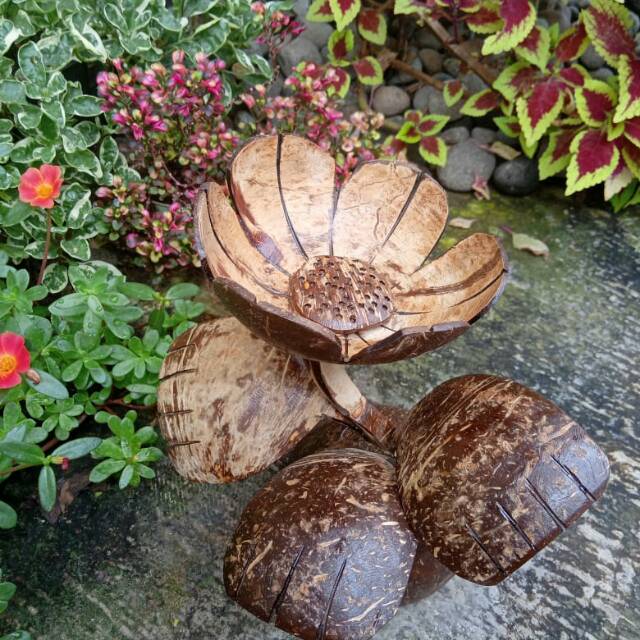 Bunga tempurung kelapa  Bunga hias Shopee Indonesia