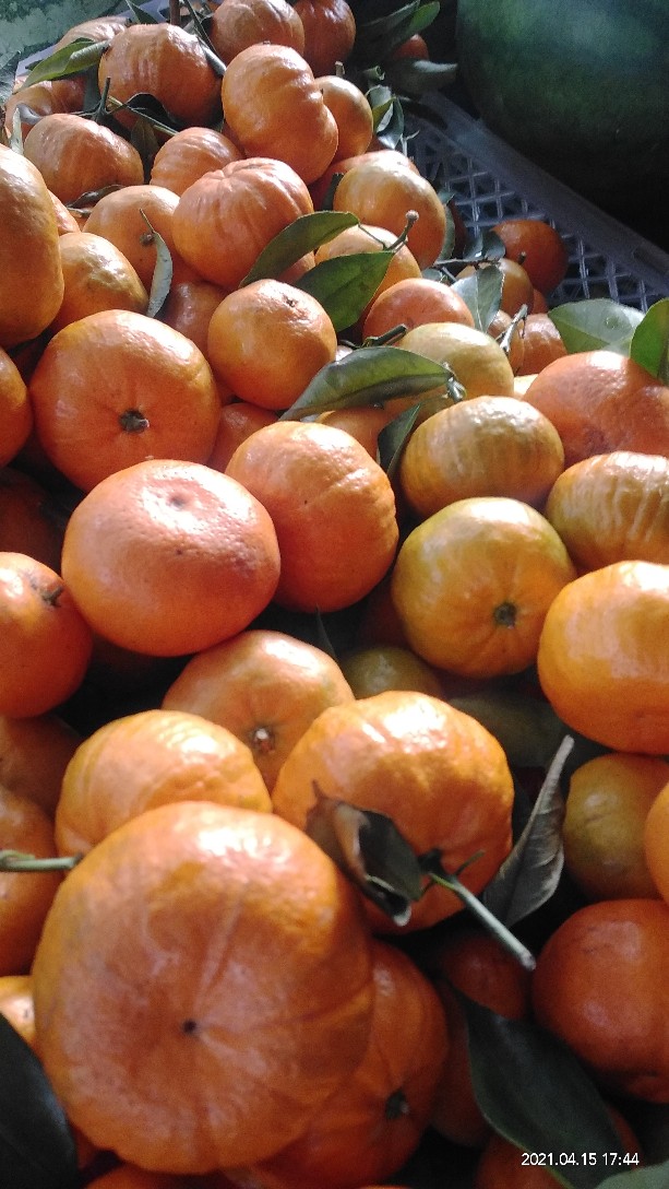 [isi 3 Pcs] Keranjang Parsel Buah