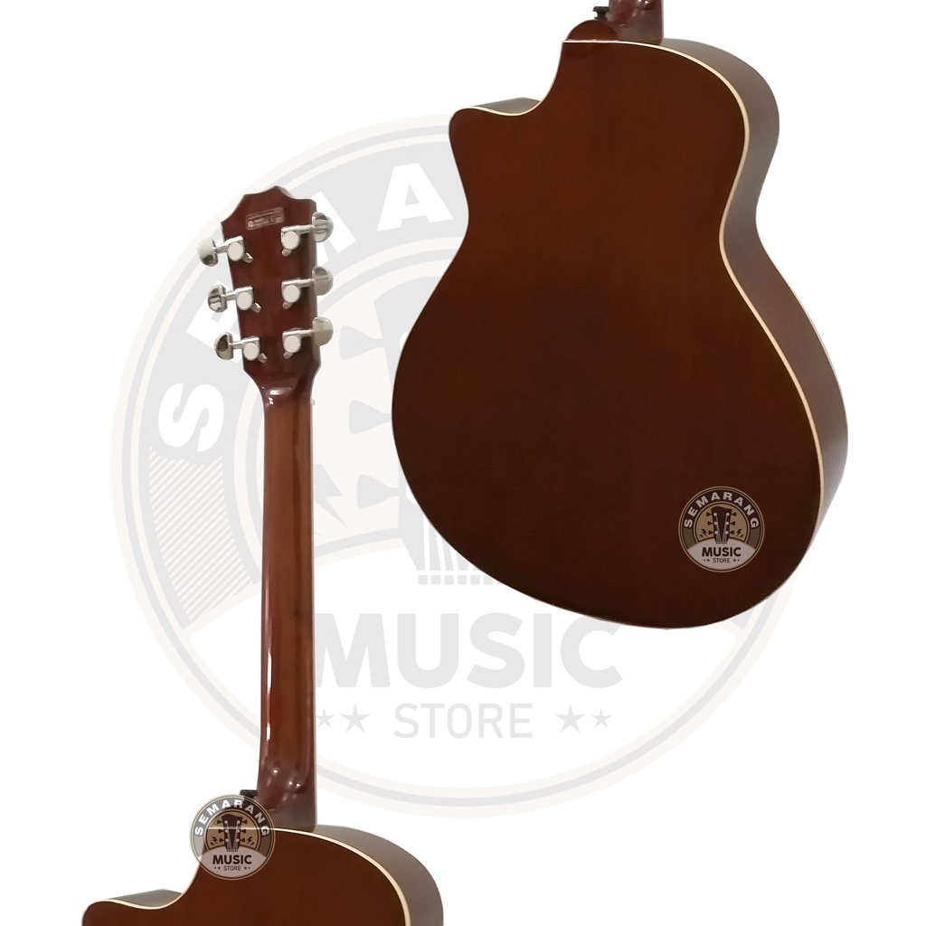 Gitar Akustik Taylor Fingerboard Maple Berkualitas