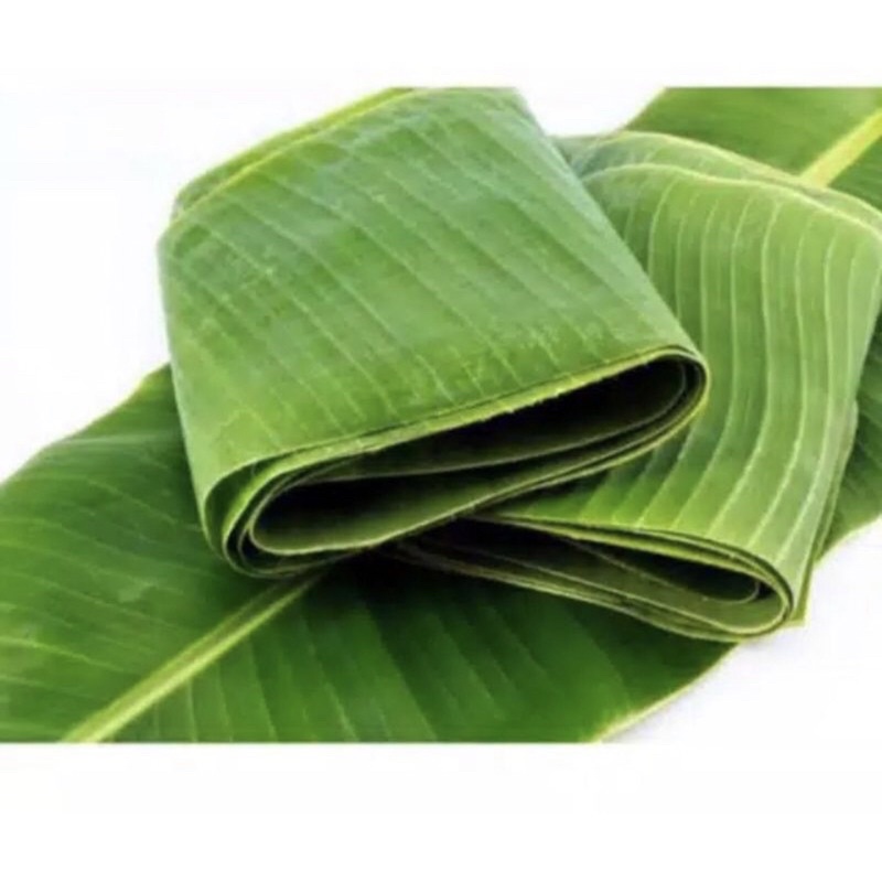 

daun pisang segar