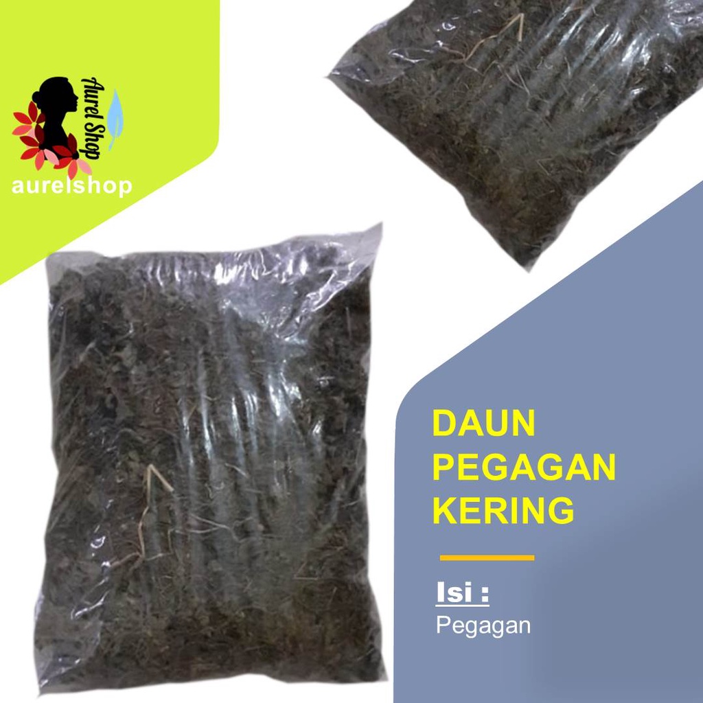 

Daun Pegagan Kering/ Antanan/ Daun Kaki Kuda/ Pennywort Leaf