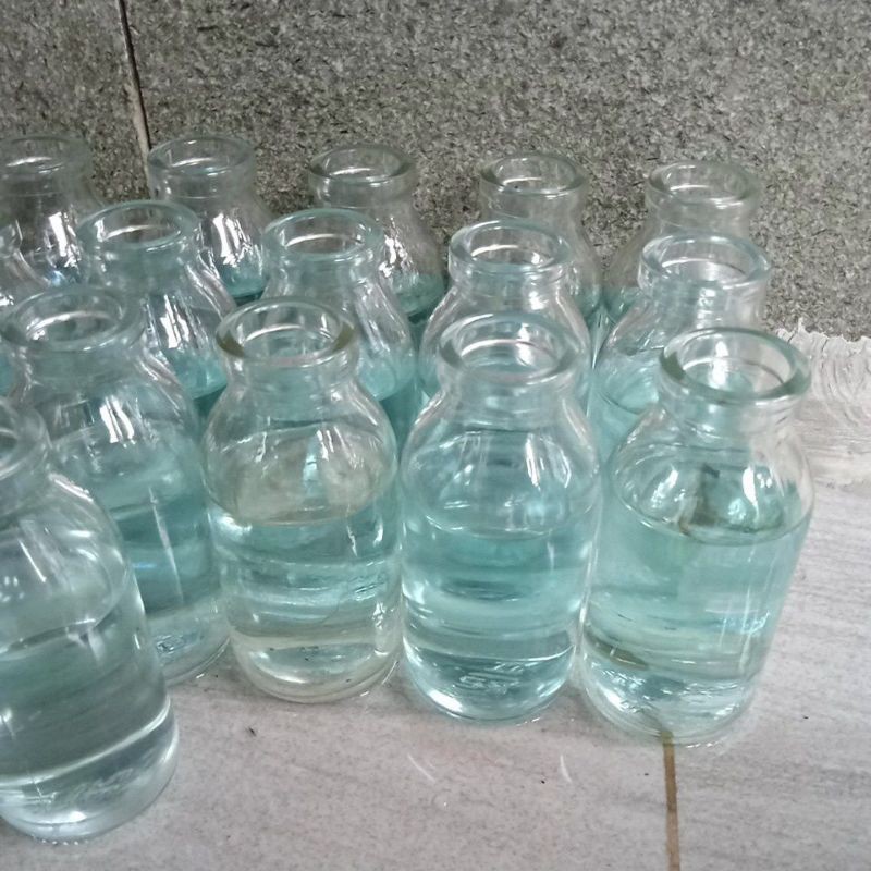 BOTOL KACA__10_IKAN_CUPANG_ANAKAN