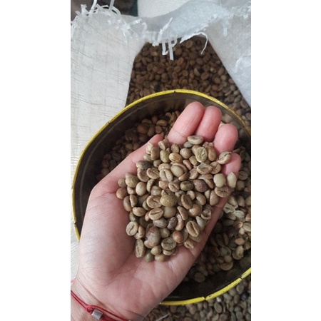 

robusta kopi ⛰ argo jembangan