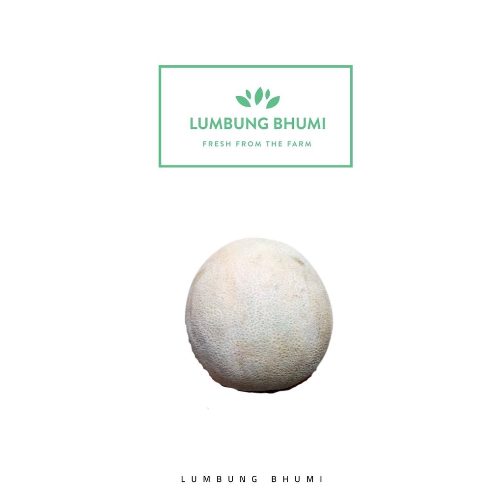 

Lumbung Bhumi - Melon Hijau 2 Kg ( Buah Curah )