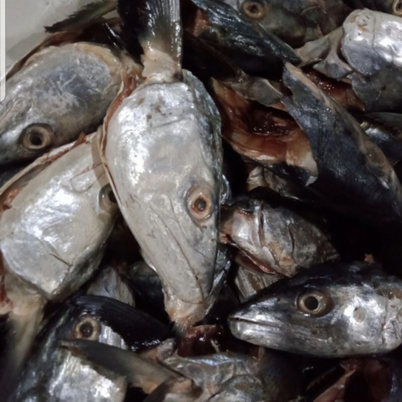 

Kepala ikan tenggiri 1 kg