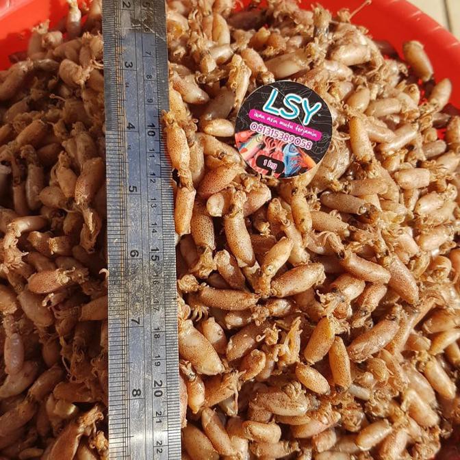 

baby cumi asin 1kg