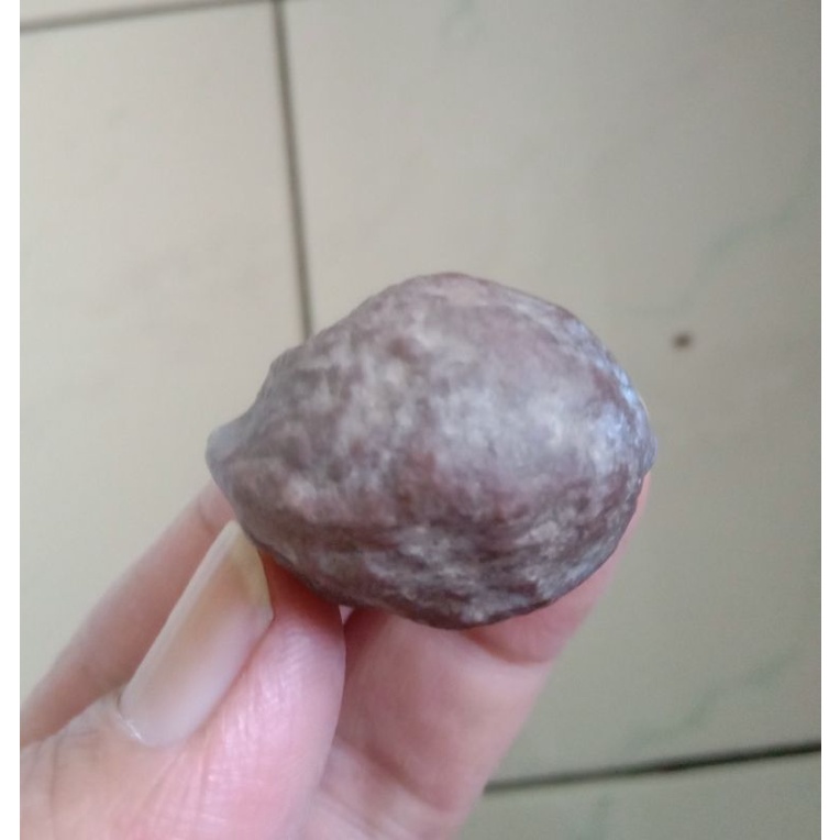 Kemiri Adu Muncang Adu Yanti Dahdir JR Size Kecil