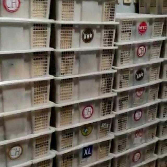 Balok pdk 100 kayu mindi natural