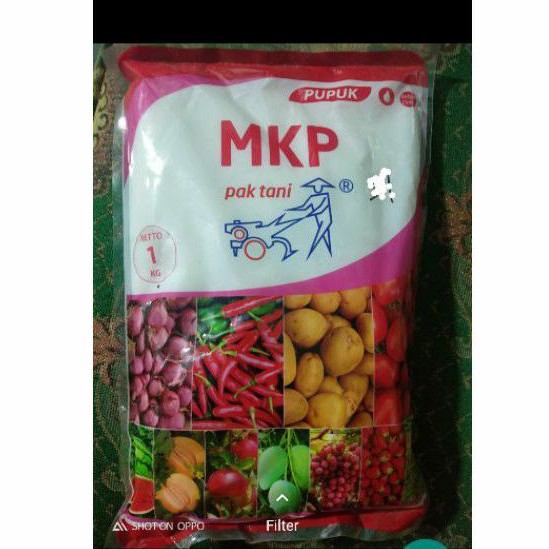 Pupuk MKP Pak Tani