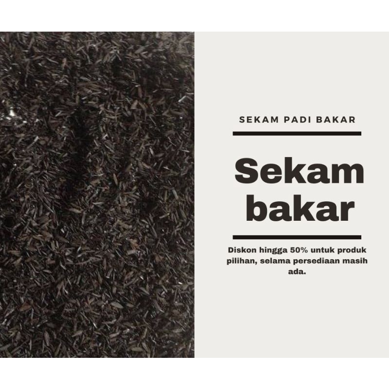 Sekam bakar 500gr/sekam bakar padi bakar/Sekam bakar padi500gr