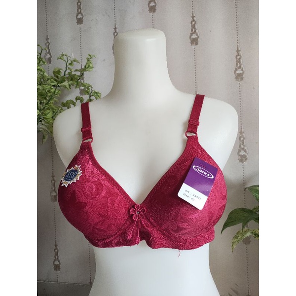 bh sorex tanpa kawat busa tipis kait 3