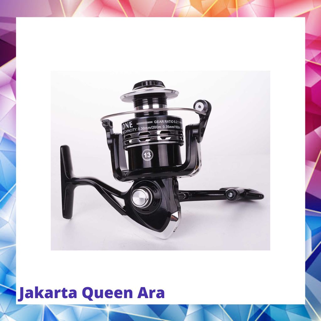 Debao Dark Spider DS2000 Spinning Reel Pancing 5.2:1 12+1 Ball Bearin