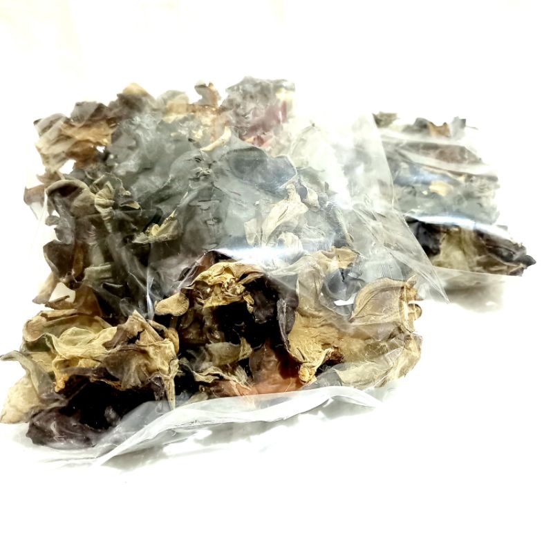 

Jamur kuping / bokni / obokni