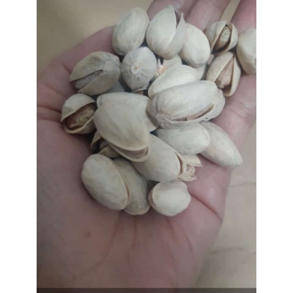 

kacang pistachio kulit 100 gram